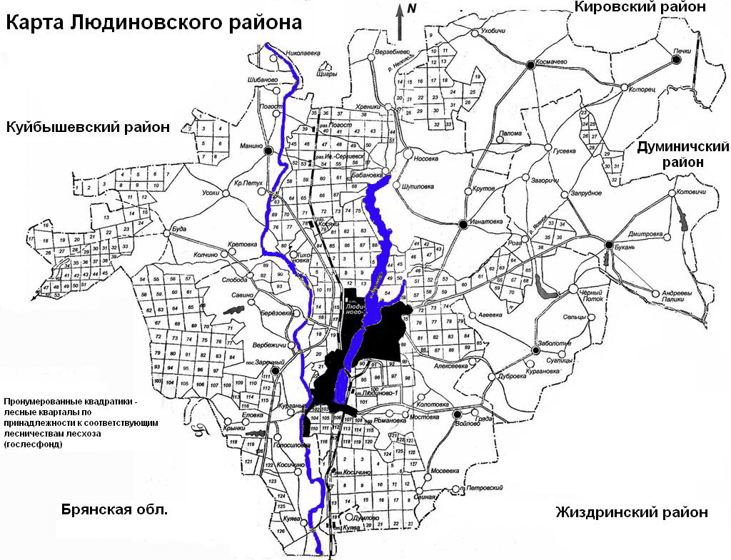 Карта Людиновского района